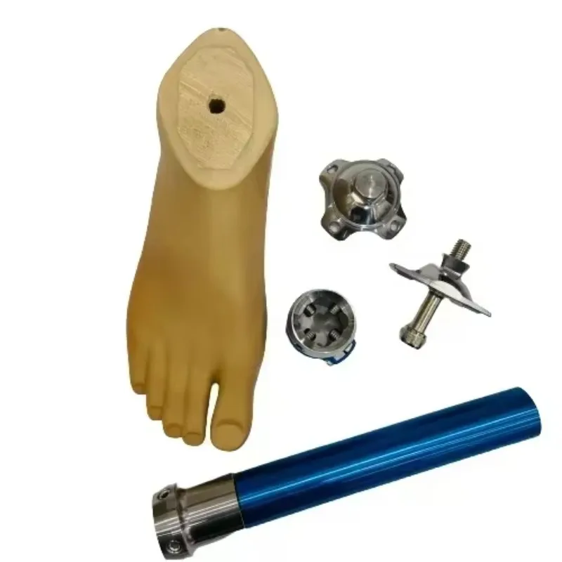 عرض ساخن لعام 2025 أجزاء الساق الاصطناعية للأطراف الاصطناعية تحت الركبة (يرجى ملاحظة كم سنتيمتر من طول القدم