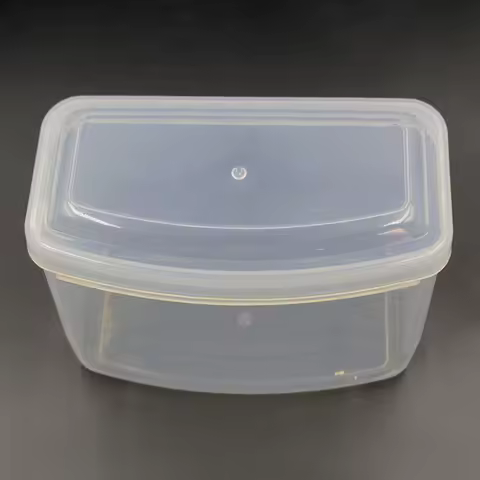 New 1PC Hard Plastic Scuba Dive Diving Mask Storage Box Case Snorkeling Goggles Swim Glasses Protector Container Transparent