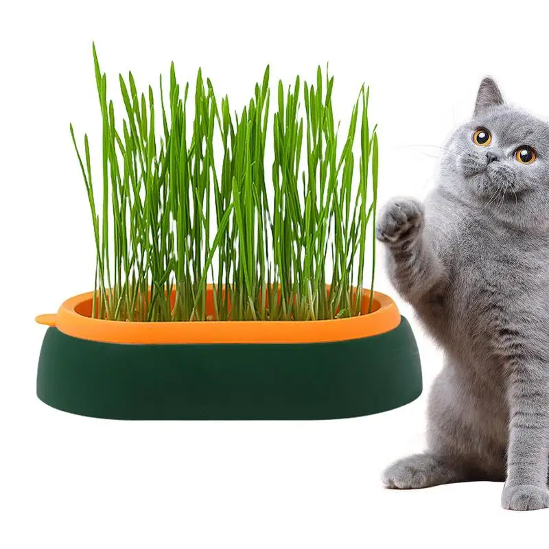 Pet Cat Grass Planter Box Hydroponic Cat Grass Plant Growing Pot Soil-Free Cat Snacks Germination Nursery Pot Grow Box