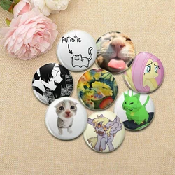 Characters in Anime Series Pins Funny Cat Raccoon Badge Interesting Cartoon Animals Brooches Backpack Clothes Gift Accessory