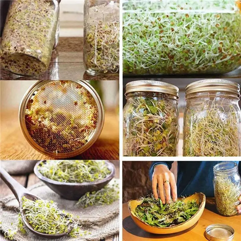 ABKS-8 Pack Stainless Steel Sprouting Jar Lid For Wide And Wide Mouth Mason Jar For Growing Sprouts