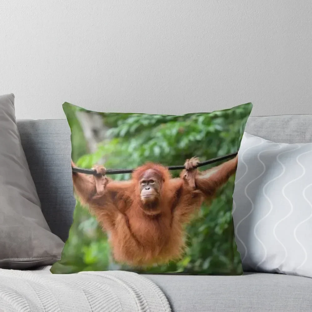 Hanging Orangutan Throw Throw Pillow Cushion Cover Decorative Cushions pillow