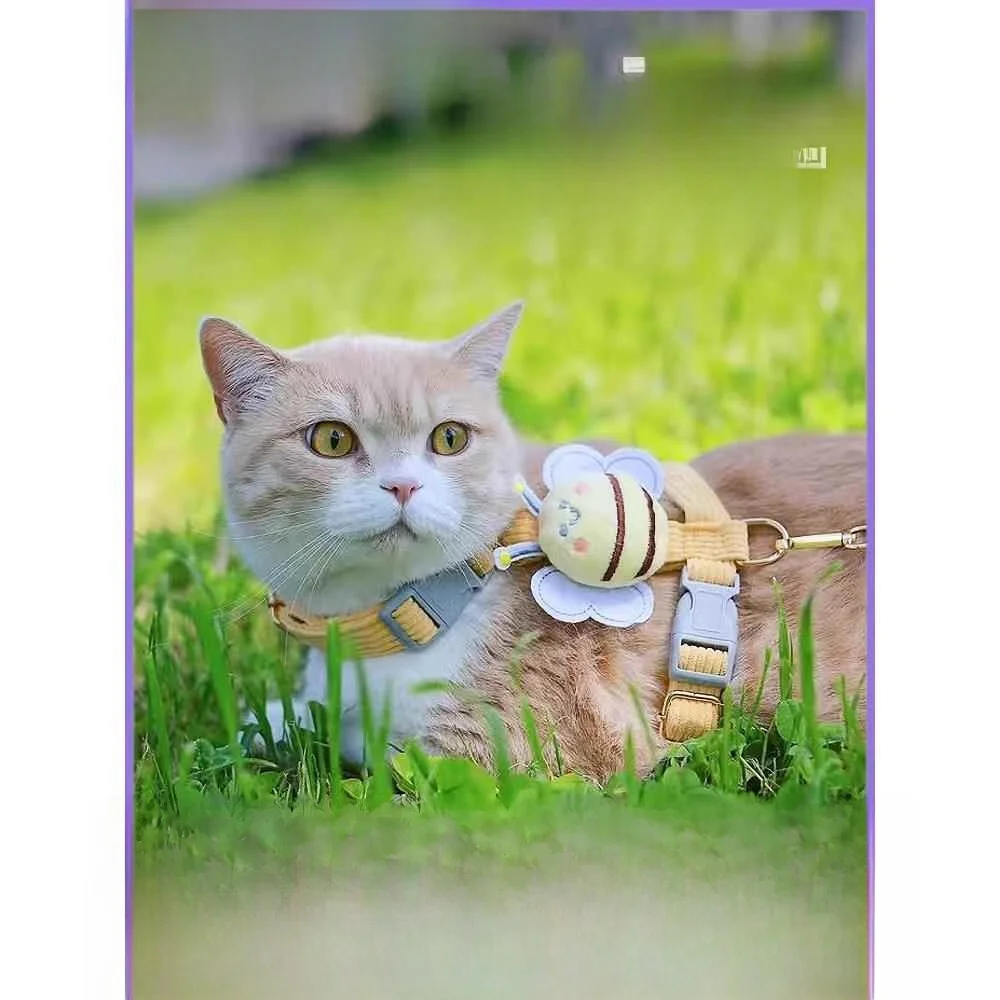 lea-prevents-breakage-special-pet-vest-small-lea-rope-durable-comfortable-pet-accories-for-owners