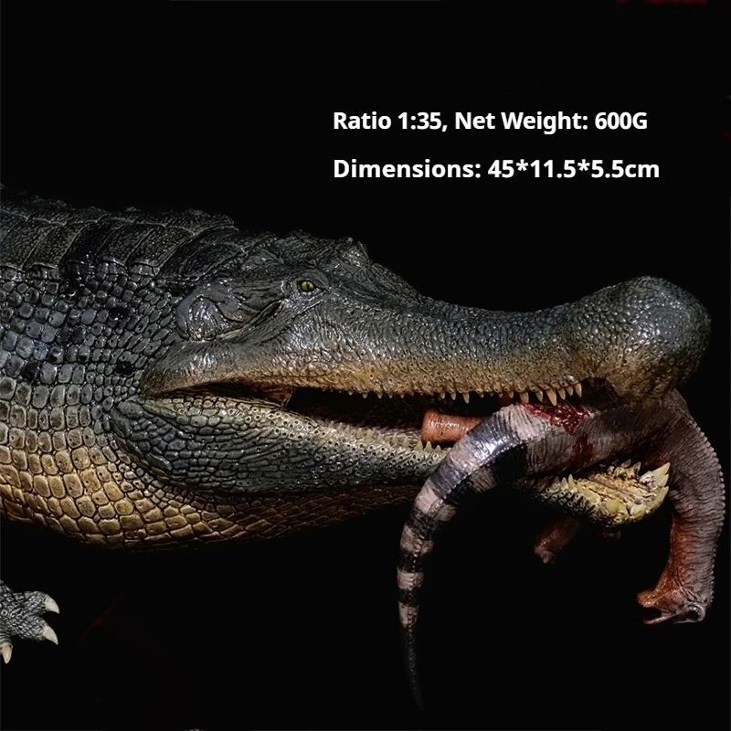 

Prehistoric Giant Beast Emperor Crocodile Emperor Crocodile Dinosaur Corpse Simulation Model Finished Product Hot Selling
