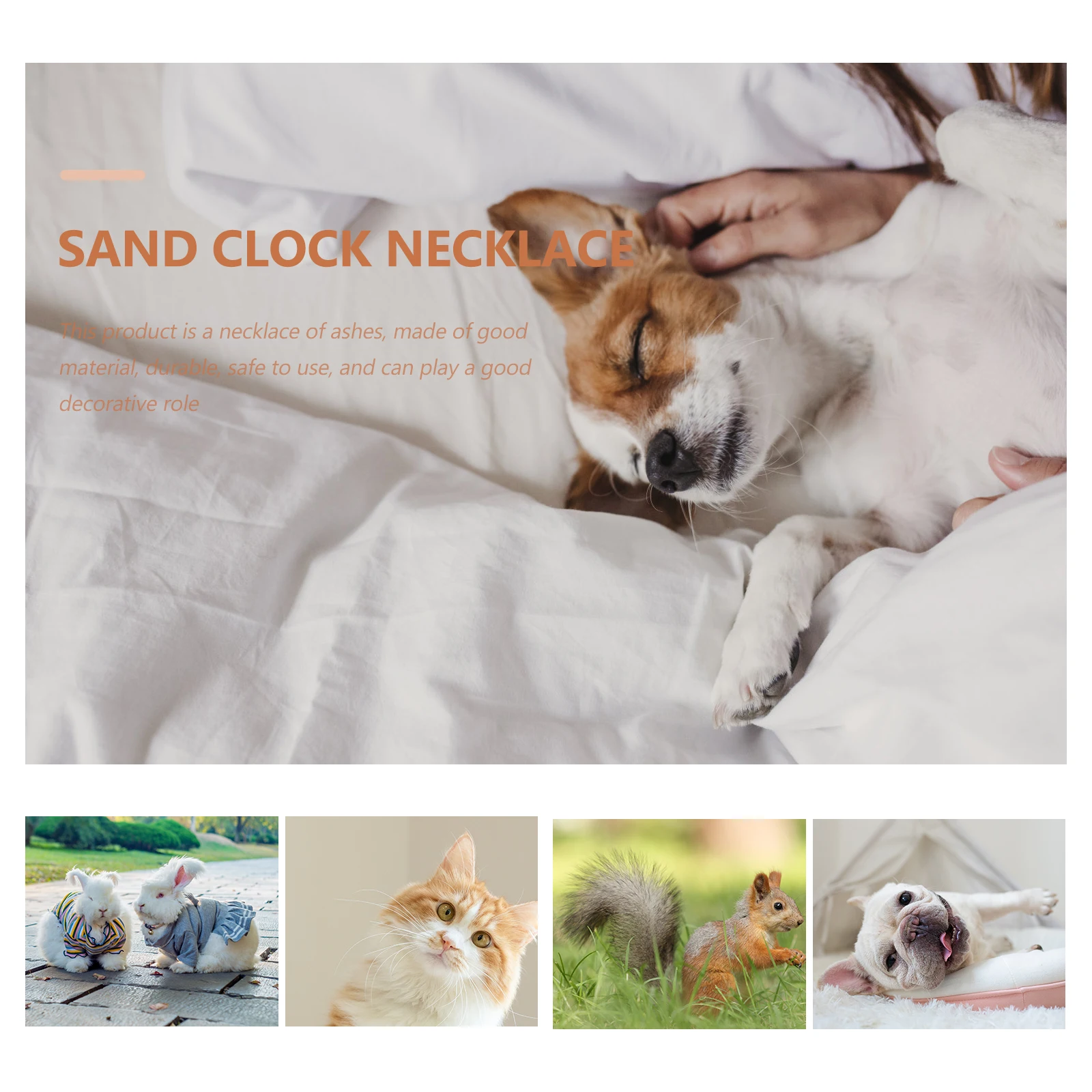 

Pet Cinerary Necklace Stainless Steel Urn Pendant for Ashes Keepsake Jewelry Memory Memorial Gift for Women Men