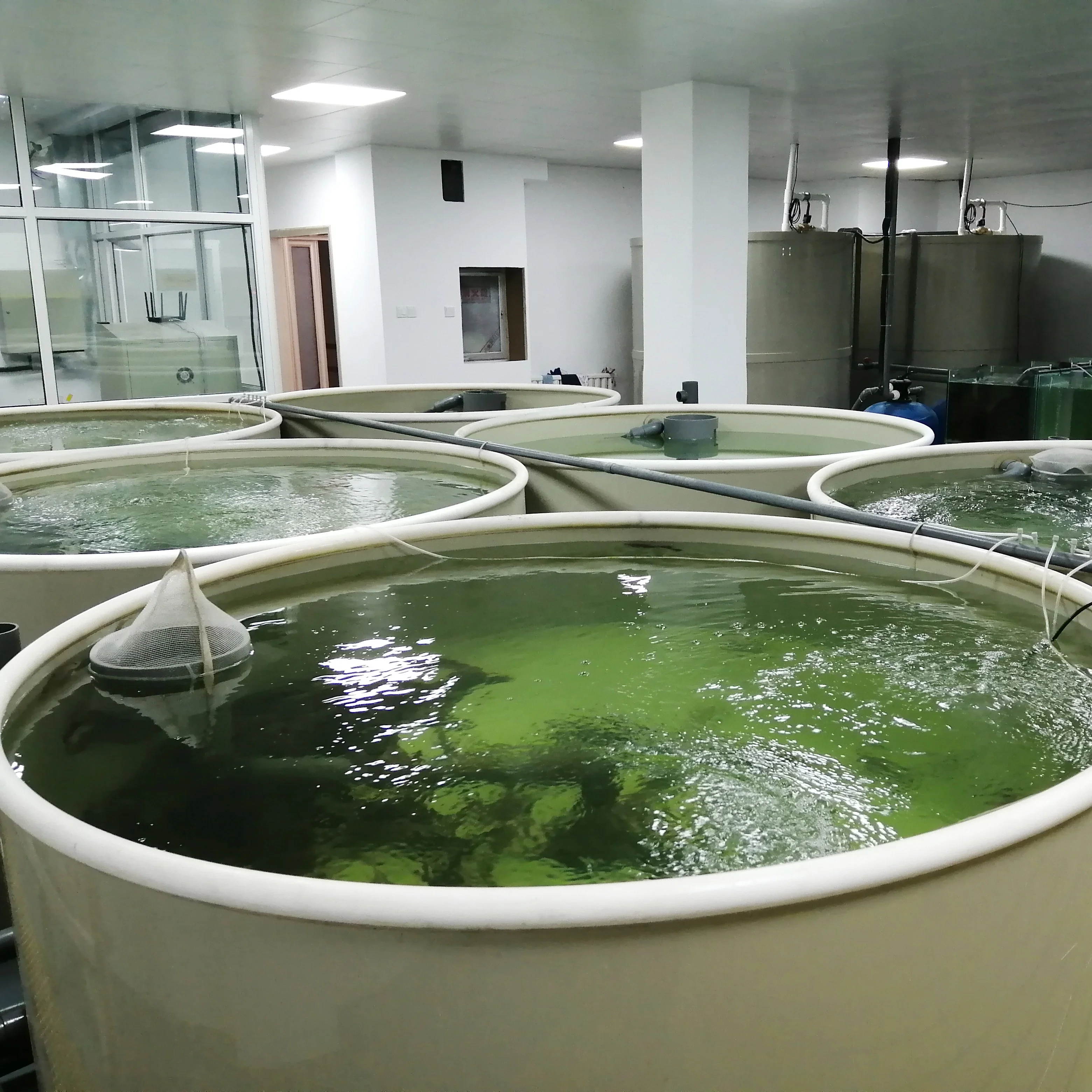 Tilapia Fish Farming Equipment Ras System Aquaculture Equipment with Fish Tank and Aquarium Accessories