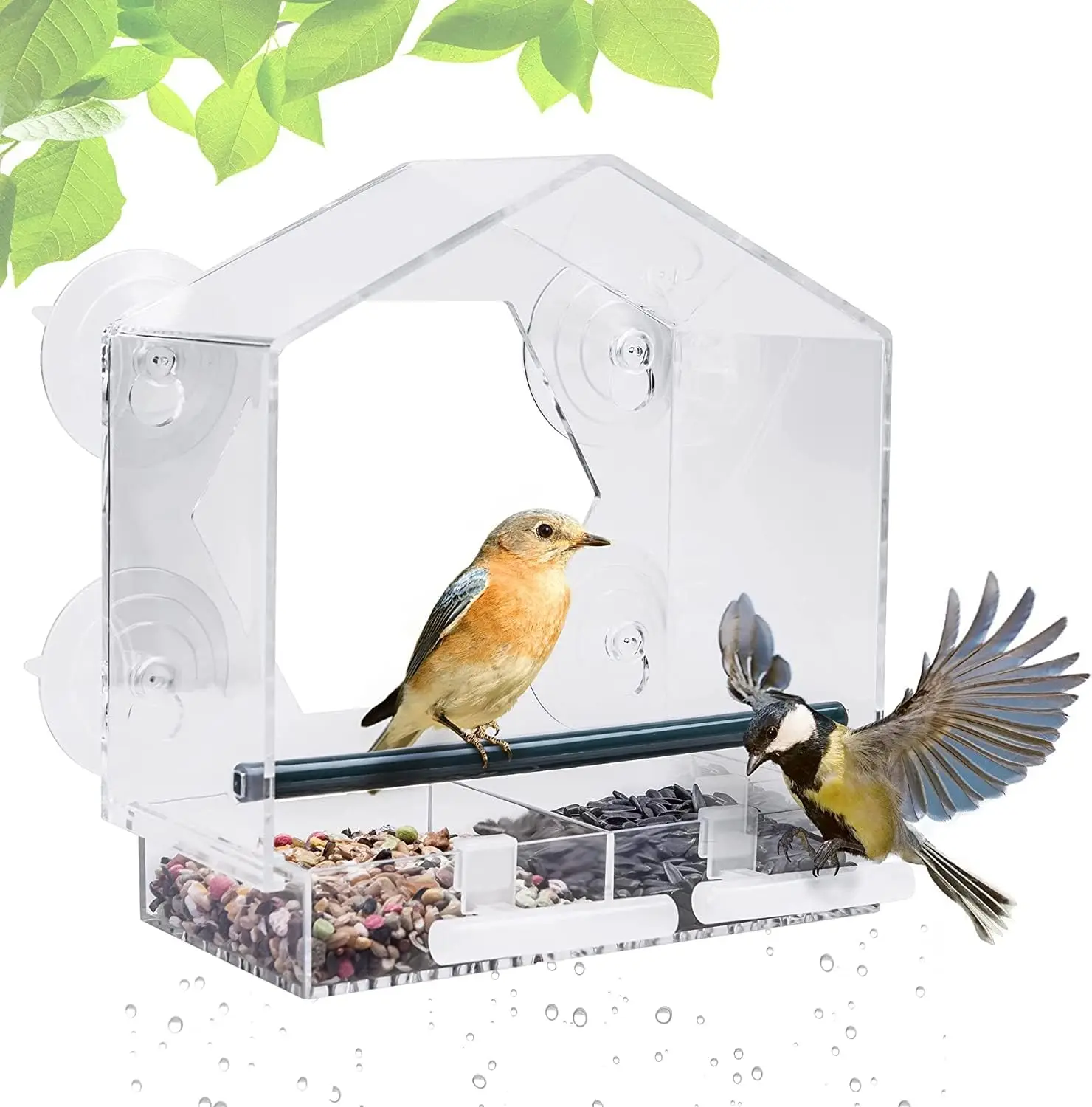 Window Bird Feeder, Large Outdoor Bird House Feeder with 4 Powerful Suction Cups and 2 Extra Bird Racks, Removable