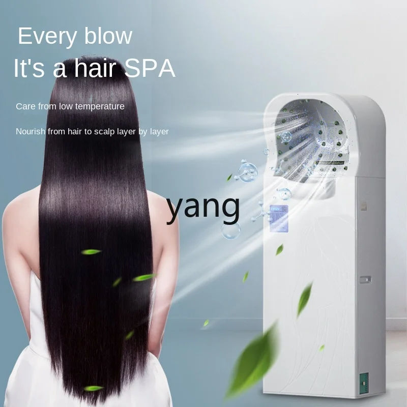 LMM Water Park Same Style Hair Dryer Hair Salon Hair Dryer