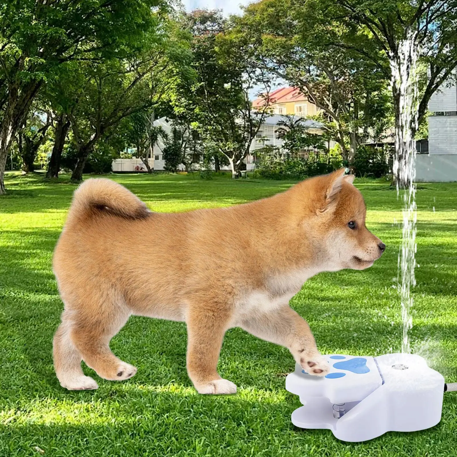 Thumbnail 3 - #6 Puppy Water Fountains Comparison Guide