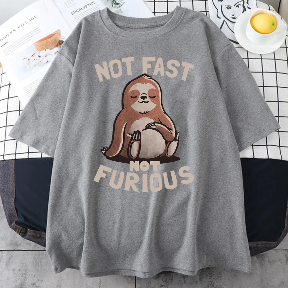 Not Fast Not Furious Kawaii Sloth Print Clothing Men Street Oversized T Shirts Breathable Cotton Streetwear Breathable T-Shirt view 4