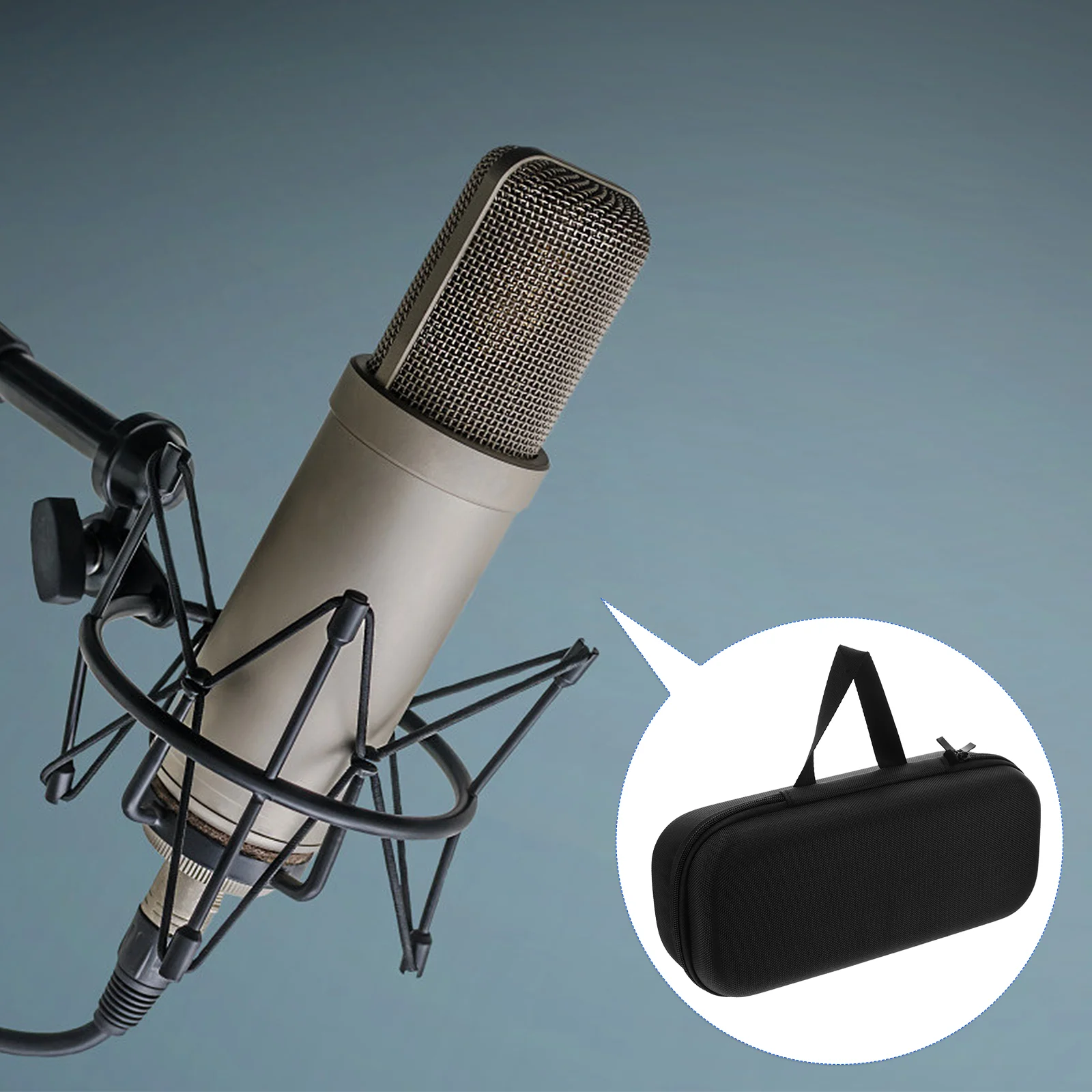 Microphone Storage Bag Holder Tote Bags Hard Carrying Case Eva Simple Travel Hand