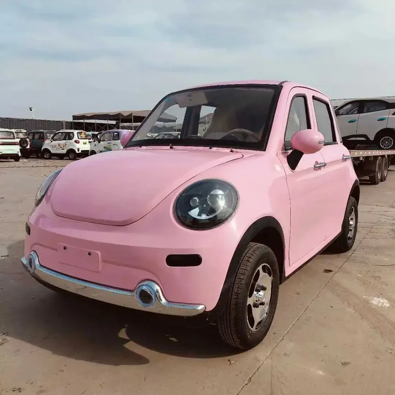 300km Long Range Lithium Battery Factory Direct Price 3000w Low Maintenance Car  Elder Daily Use
