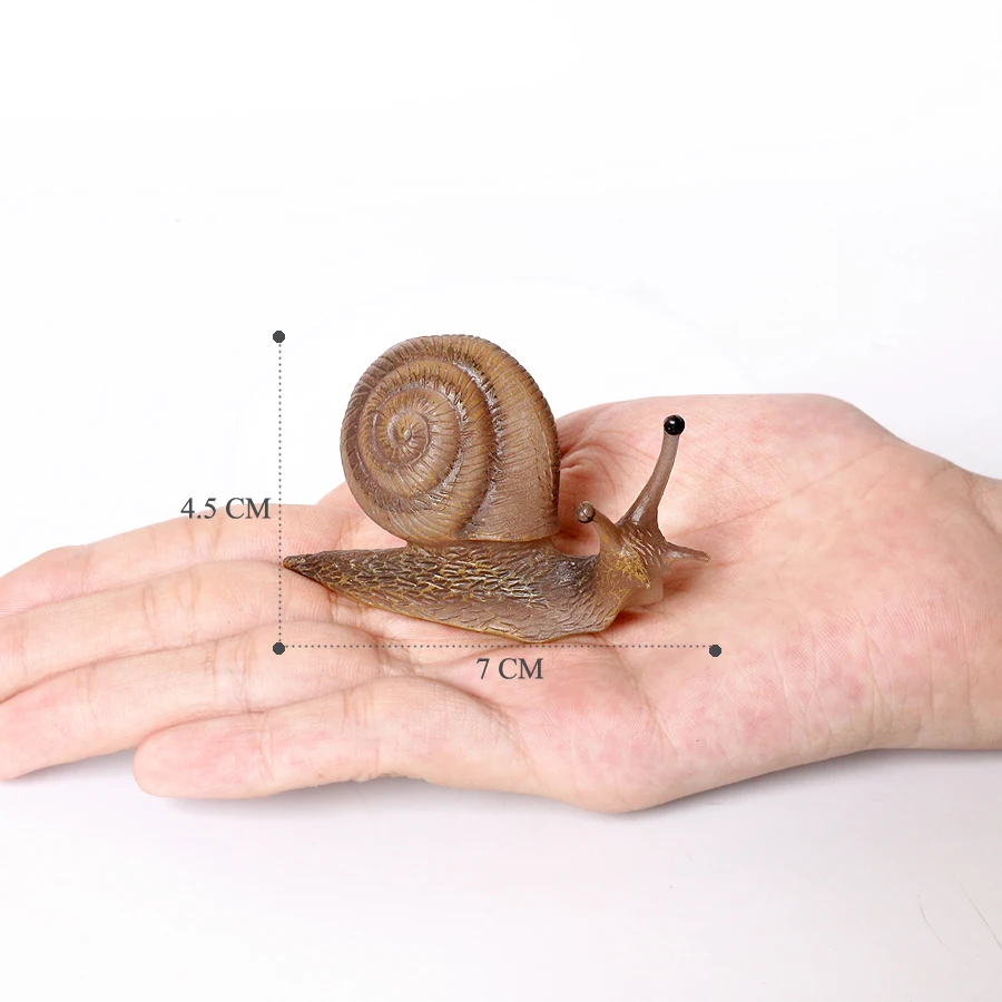 Realistischer Lebenszyklus einer Schnecke, Modellfigur, Schneckenfigur, Partyzubehör, Kuchendeckel, Tischdekoration, Sammlungsspielzeug