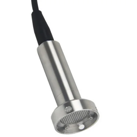 Hoge Druk En Hoge Temperatuur Water Level Meter