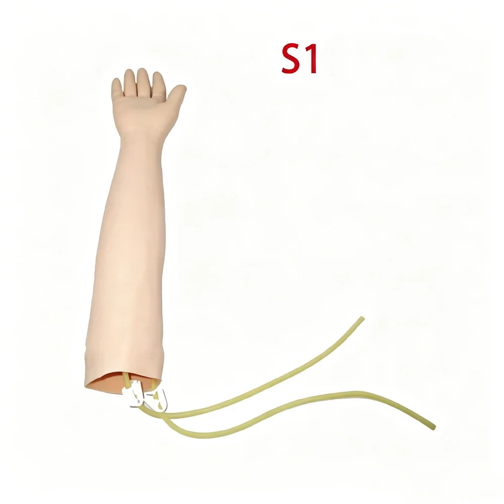 Venipuncture Training Arm Model 2