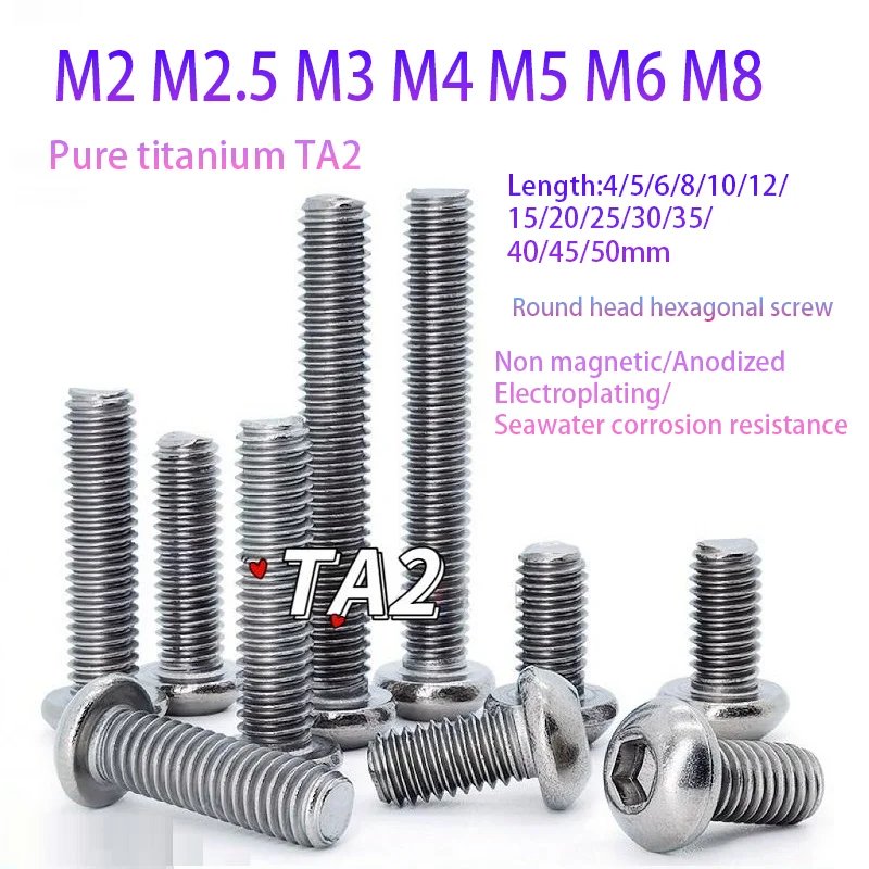 Gr2 Pure Titanium Round Head Hexagonal Screw Nonmagnetic Screws M2 M2.5 M3 M4 M5 M6 M8 TA2 Screws 10-20pcs/lot