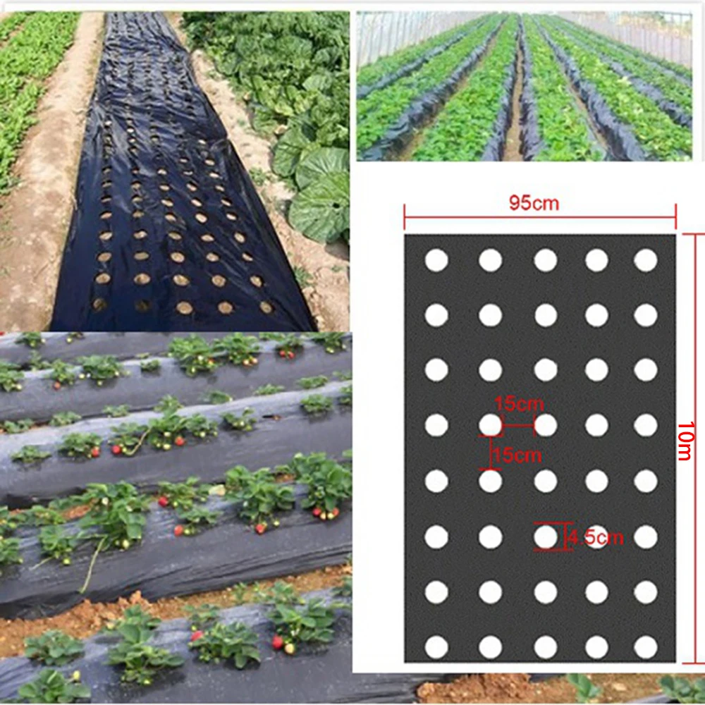 

Garden Greenhouses Perforated Film Grow Your Vegetables With Our Black Plastic MulchFilm - Perfect For Plant Protection