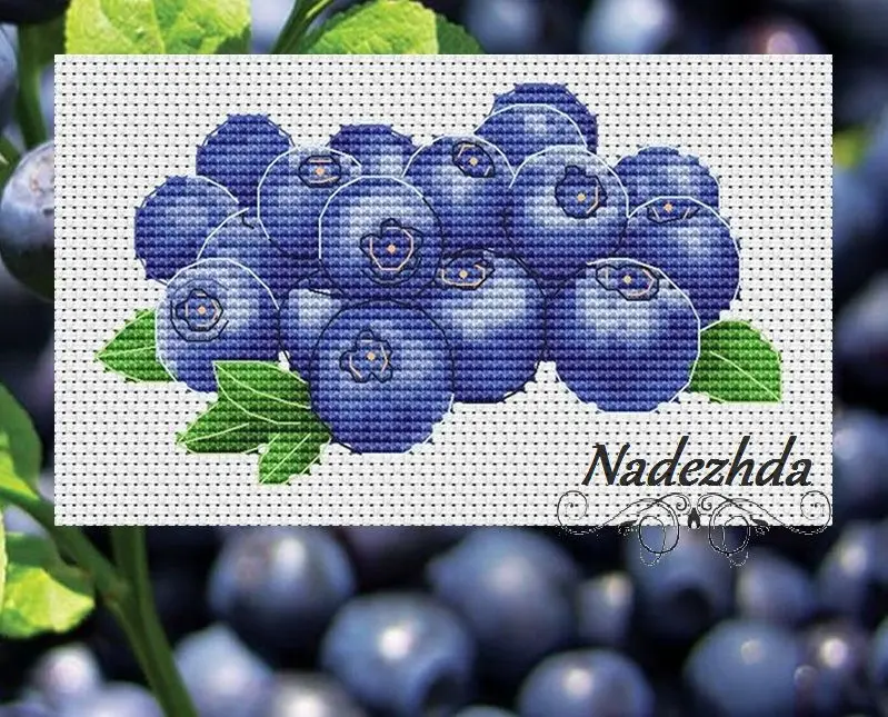 Popular Counted Cross Stitch Set, blueberries and Blueberries, Delivery Top Quality, 22-17