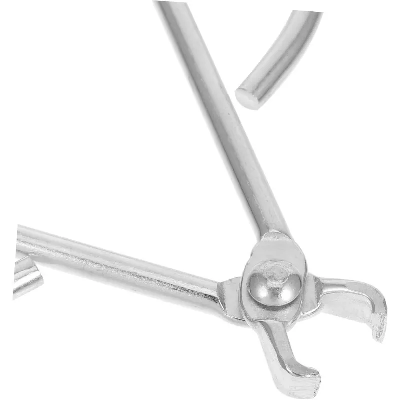 Heavy Duty Stainless Steel Nut Sheller Chestnut Walnut Pine Nut Cracker Easy Shelling Tool view 4