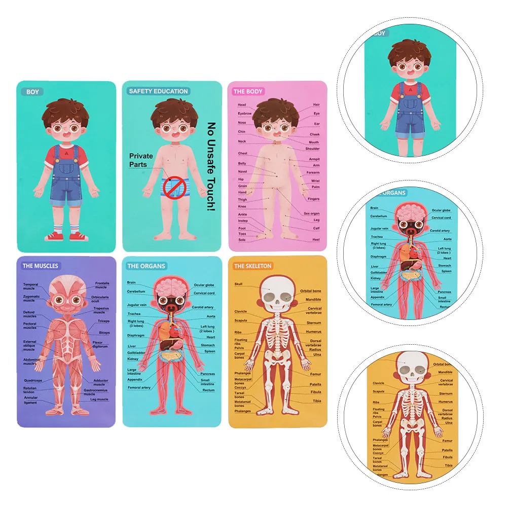 

1Set Body Parts Learning Puzzle Educational Wooden Jigsaw for Toddlers Preschool Kids Early Childhood Development Cognitive