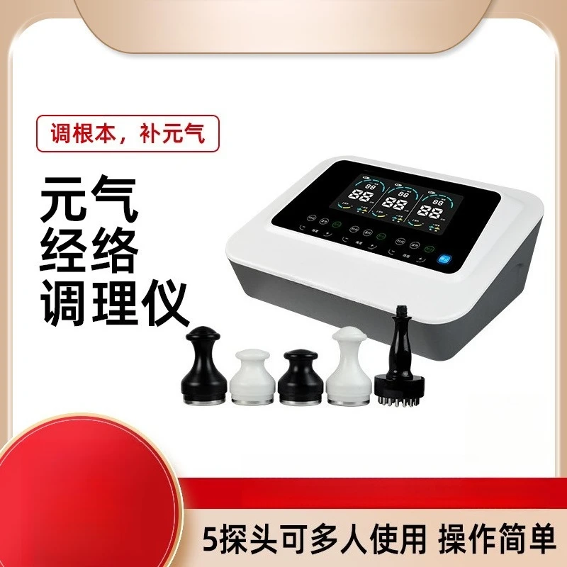 Bioelectric Meridian Therapy Device, Full Body Meridian Unblocking Massage Instrument for Spa Wellness Center