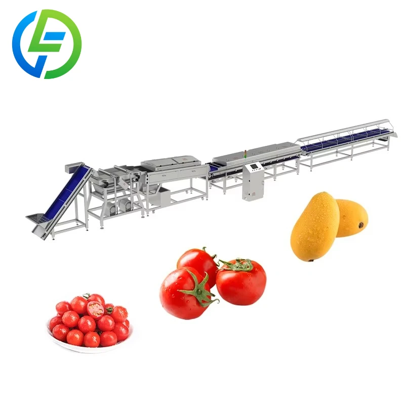 Customized Brush Type Tomato Cleaner and Brusher Mango Fruit Washing Machine for Washing Cherry Tomato Fruits
