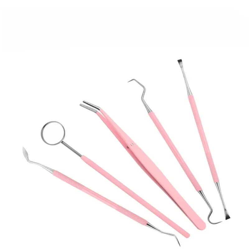 4/5/6PCS Pink Stainless Steel Dental Mirror Dental Kit For Woman Oral Care