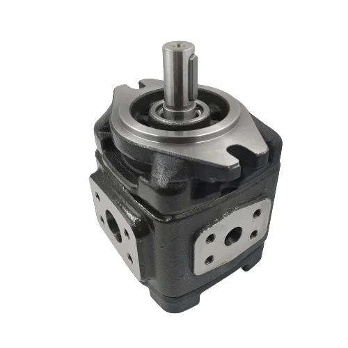 

Гидравлический насос с внутренней шестерней, гидравлический чугунный масляный Шестеренчатый внутренний насос высокого давления