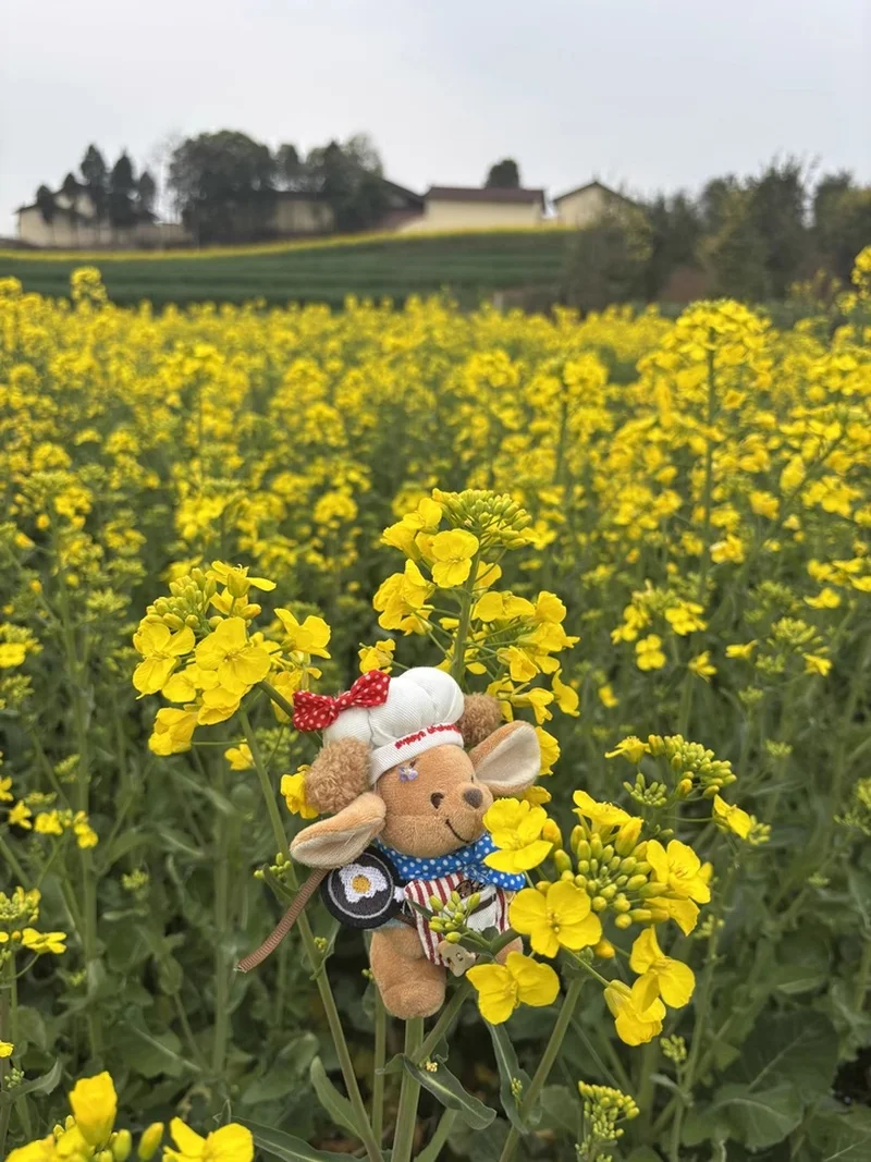 Nowa Śliczna Lalka Dziecięca Roo Kubuś Puchatek Pluszowa Lalka Wypchana Zabawka Śliczna Lalka Kanciastoporty Zawieszka do Torby Marionetka Prezent dla Uczennicy