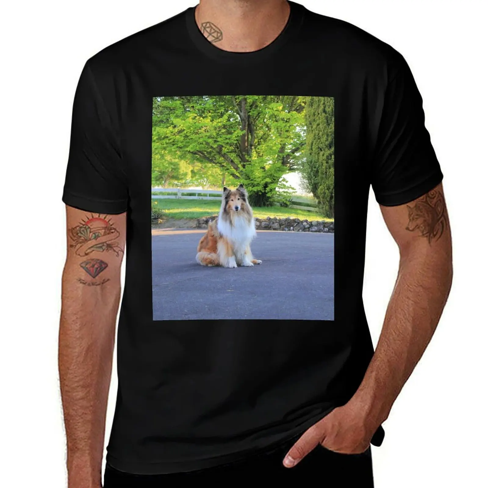 

Sitting Rough Collie T-Shirt t shirt man casual t shirts for man cotton funny g man t shirts for men T-shirt