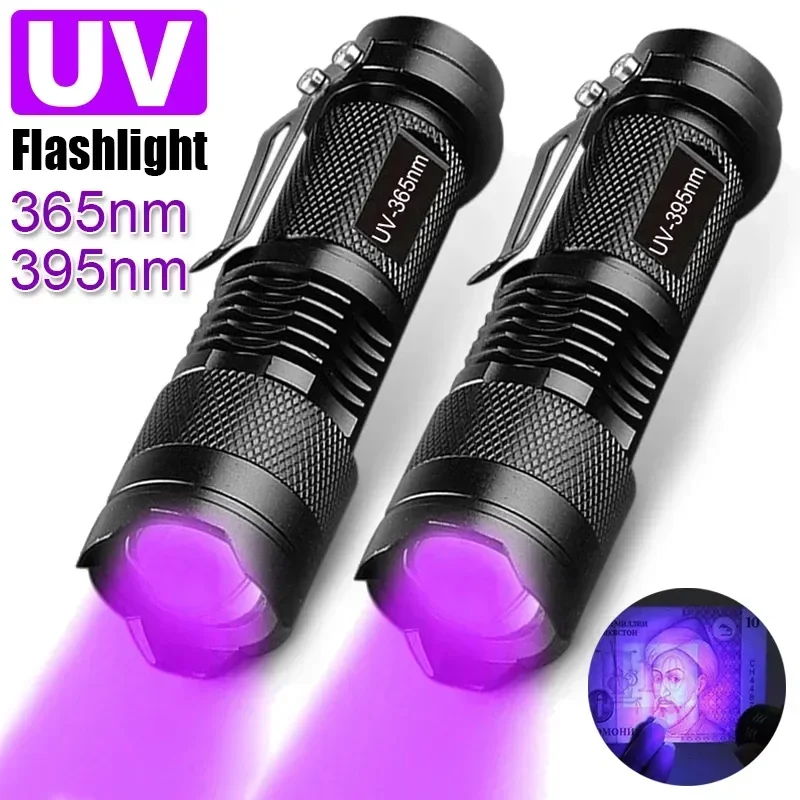 Linterna portátil UV 365/395nm luz negra Mini linterna Zoom LED linternas ultra violetas para antorcha de detección de fluorescencia