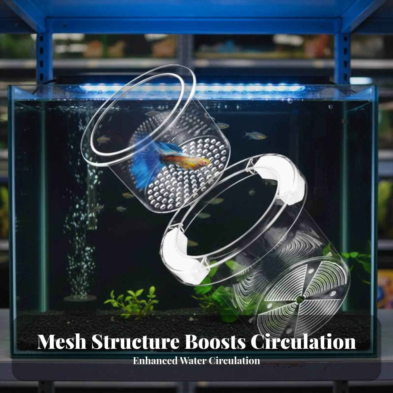 

Guppy Breeder Box Water Permeable Aquatic Habitat Separation Box Buoyant Aquatic Pet Hatchery Suction Holder Mount Fishkeeping
