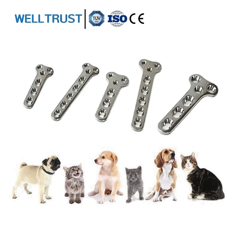SS316L Veterinary T-Plate Orthopedic Bone Plate For Animal Trauma Surgery Pet Fracture Repair Placas Y Tornillos Ortopedicos