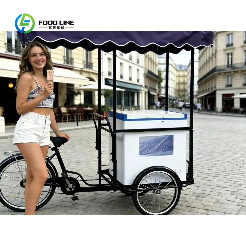 Commercial Bicycle Ice Cream Cart Mobile Street Food Trailer for Outdoor Snack Vending Event Customized Classic Design Portable