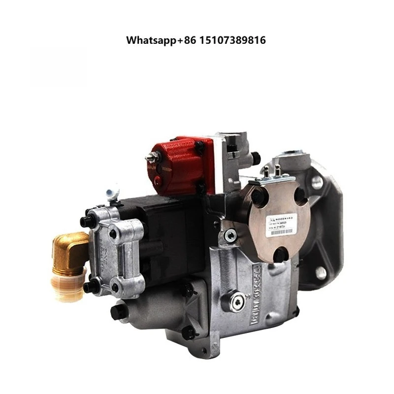 Machinery Engine Parts NT855 KTA19 KTA38 KTA50 Outboard Motor Fuel Pump for Cummins Marine  Parts Price