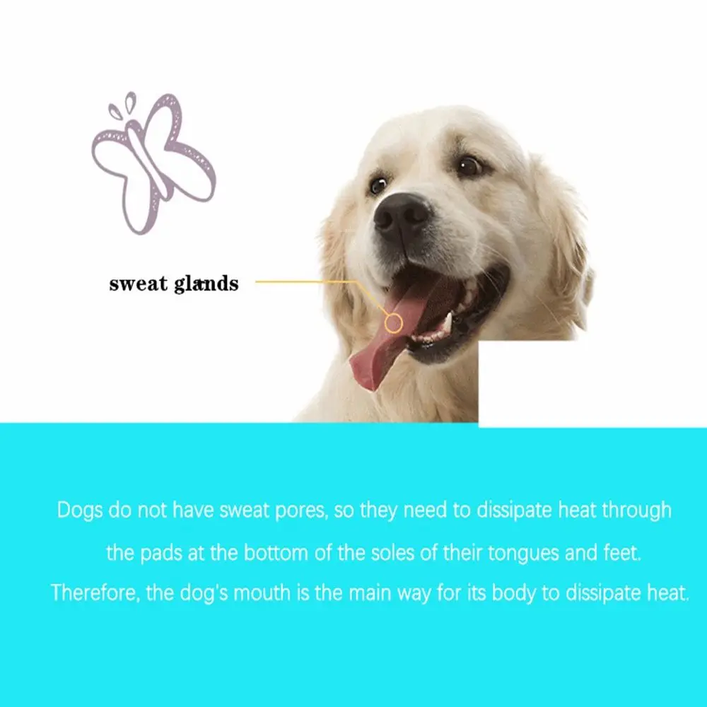 Thumbnail 2 - #2 Pet Muzzles Comparison Guide