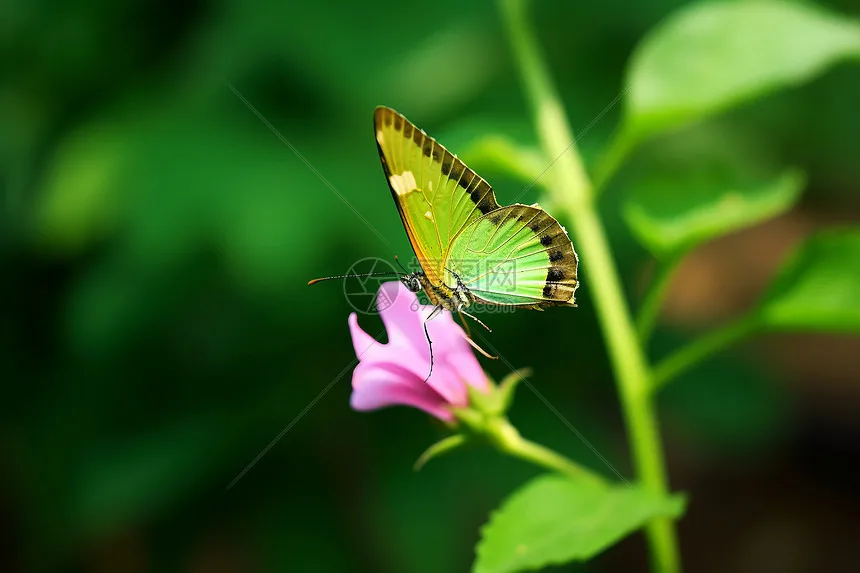 

4Pcs Shock Absorber Spring Damper for HB Toys ZP1001 ZP1002 ZP 1001 ZP1003 ZP1004 1/10 RC Car Spare Parts