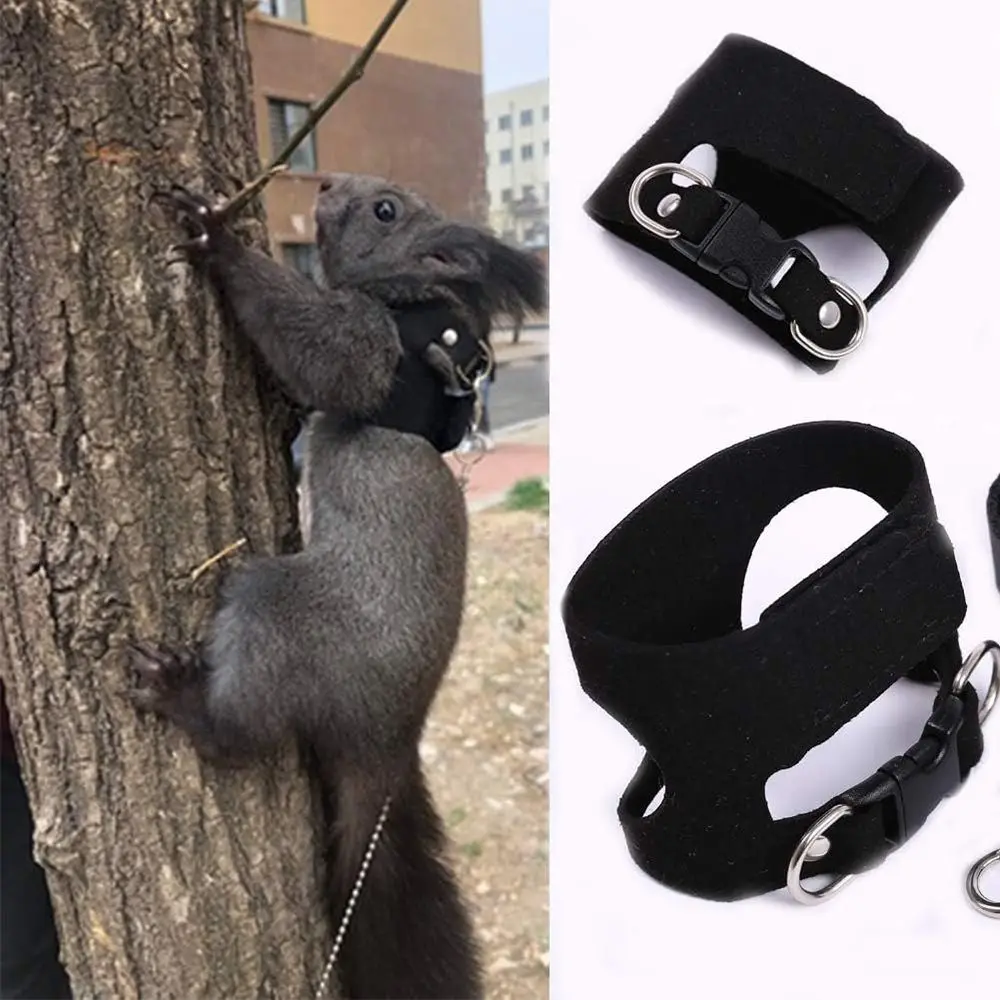 Adjustable Rat Harness and Leash Set 3 Sizes Vests Leather Reptile Harness Kit Soft Comfortable Climbing Pet Out Chest Strap