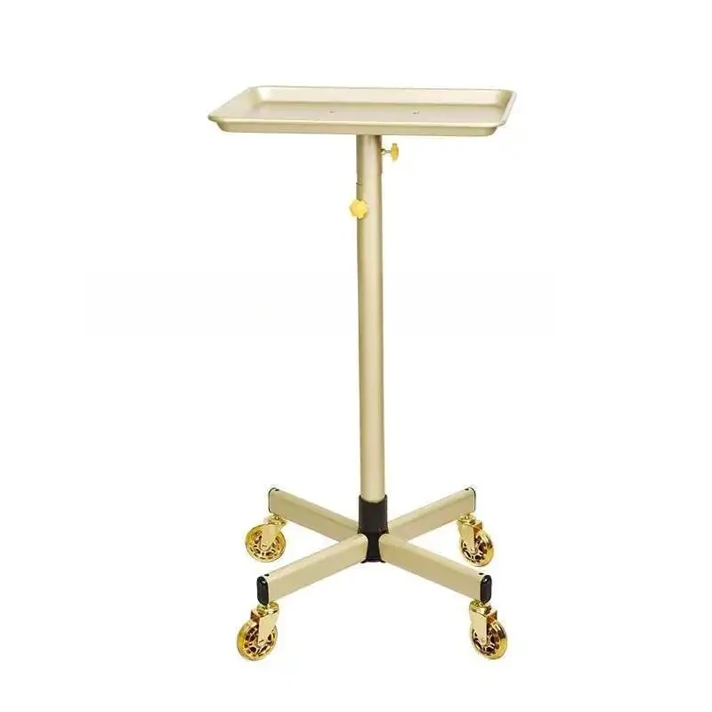 Auxiliary Cart Salon Stainless Steel Carrello Porta Tecar Eyelashes Golden Salon Trolley Wheels Aesthetic Auxiliary Cart Trolley