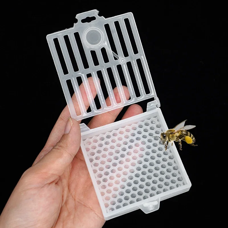 

Beekeeping Transport Queen Cages New Design Bee Post Cage Transparent Box with Comb Fundation Sheet Queen Rearing Tool Supplies