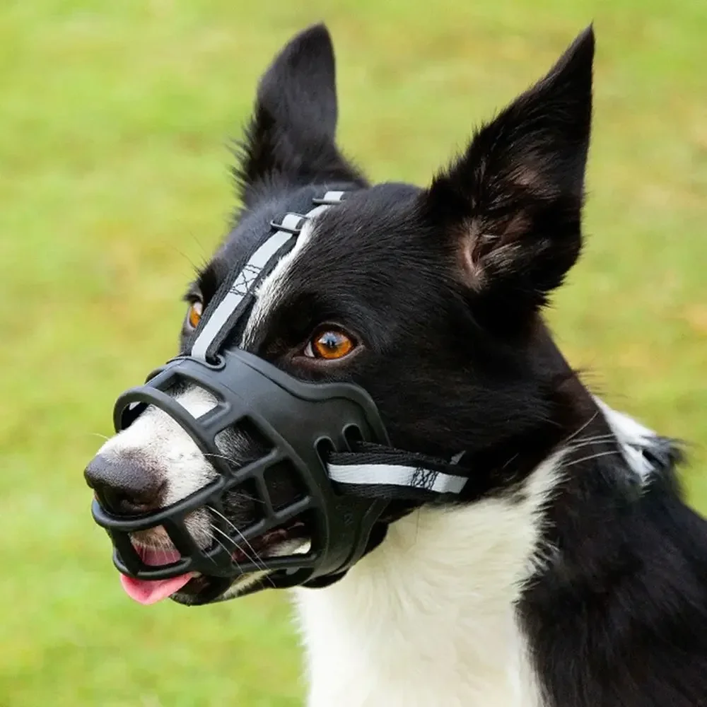 Anti-Biting Adjustable Dog Muzzle Fashion Breathable with Reflective Strip Dog Mouth Cover Plastic Can Drink Water Dog Training