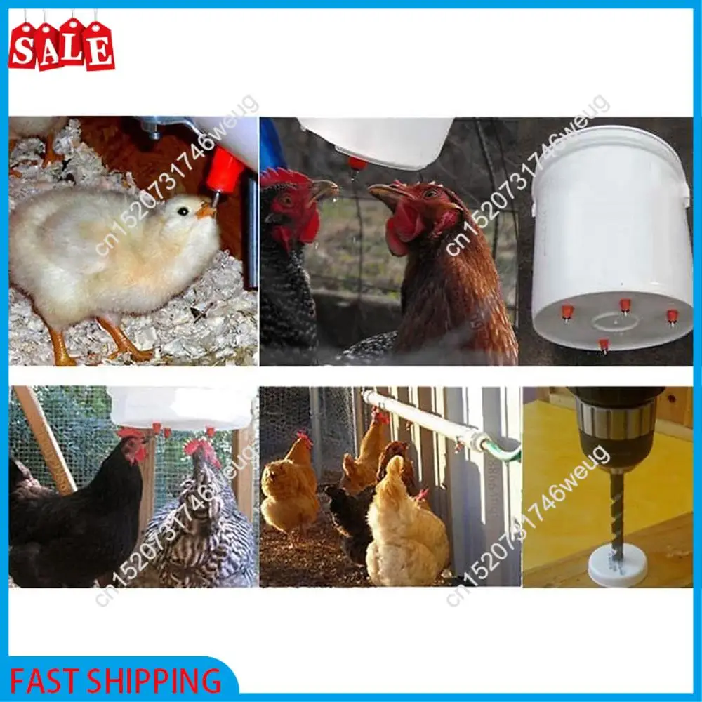 XFDZ-50Pcs الدواجن الدجاج الحلمة شارب الربيع نوع الطيور مع موزع مياه أوتوماتيكي فم الدجاج الطيور مياه الشرب