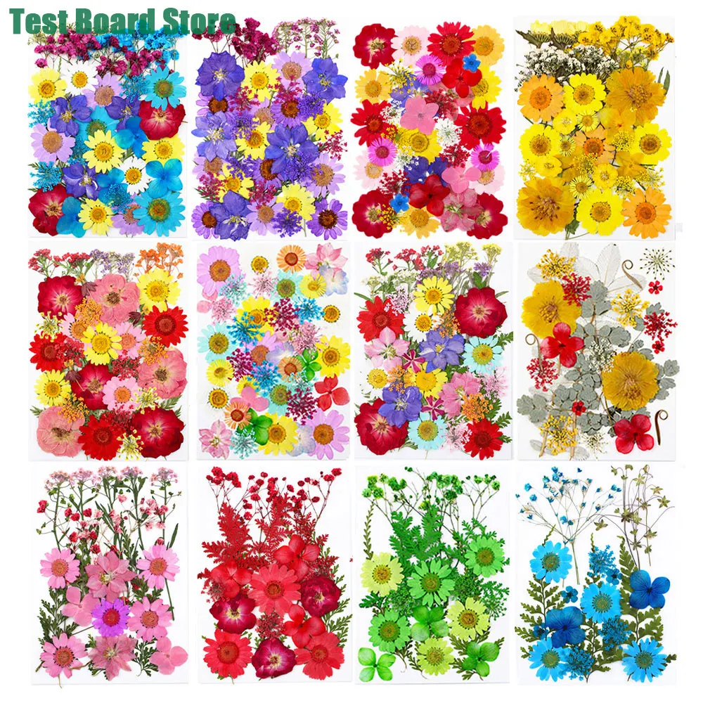 1Pack Dried Flowers Embossing Material Package DIY Crystal Resin Mold Filling Material UV Nail Art Pressed Flowers Home Decor