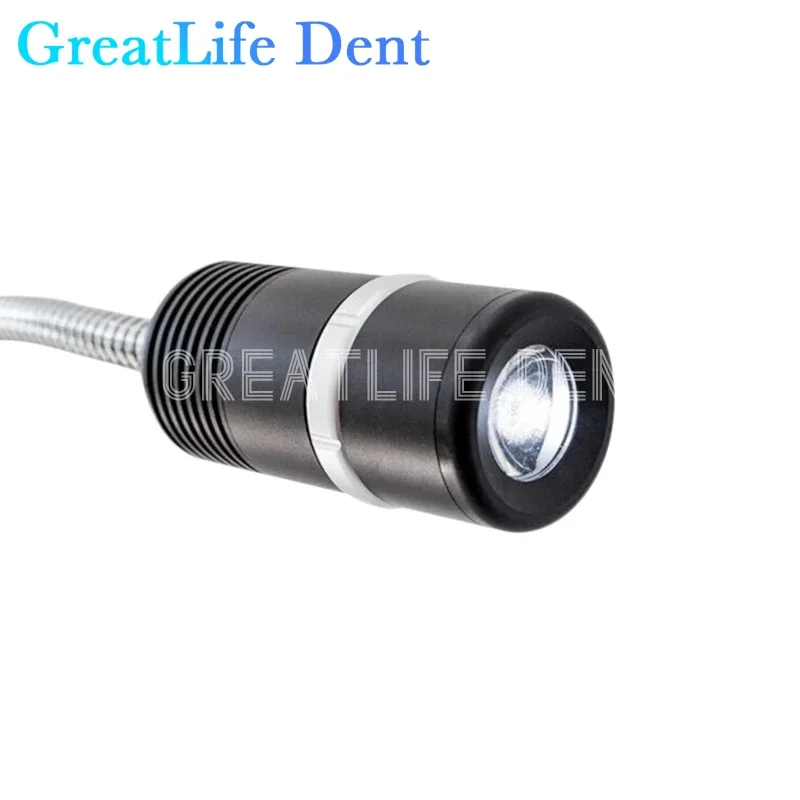 GreatLife Dent 12w JD1200L Dental alto brillo ajustable soporte móvil Led examen veterinario piso de pie lámpara Led Dental