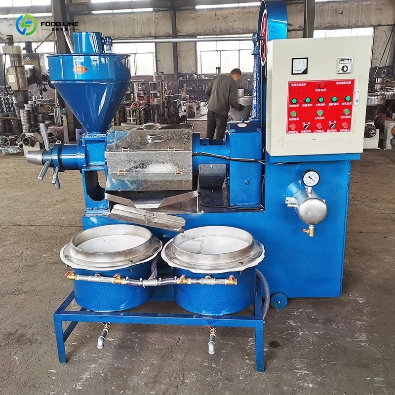 Customized Small Screw Cold Oil Press Machine with Oil Filter User Friendly Design Stable Output Hot Sale Product Perfect