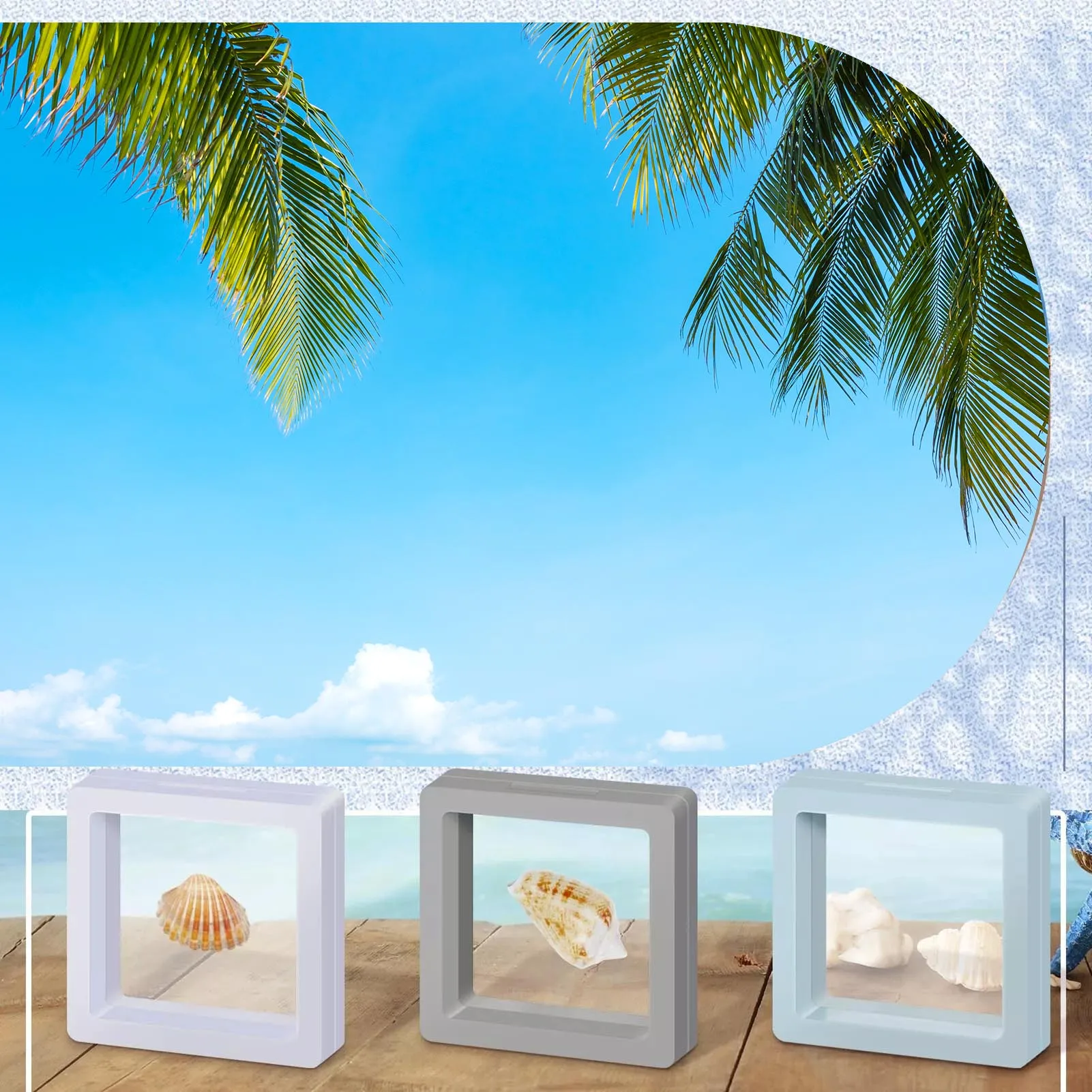 3D Floating Seashell Display Box Decorative Stackable Small Craft Organizers for Friends Family Birthday Gift