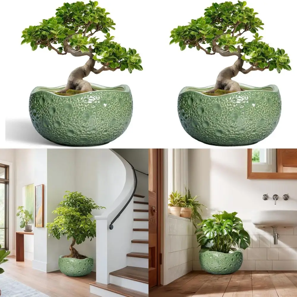 

13 Round Bonsai Plant Pots with Drainage, Modern Decorative Flower Pots for Indoor & Outdoor Use, Ideal for Patio Decor and Plan