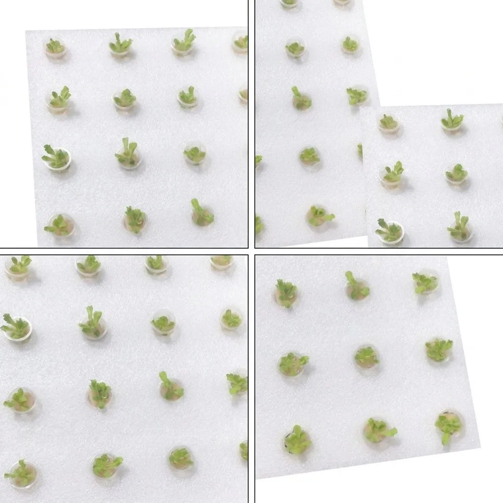 2 Pack Hydroponics Planting Tray with 24 Sponge Cavities and 24 for Starter For Bud Growth and Transplant Prep