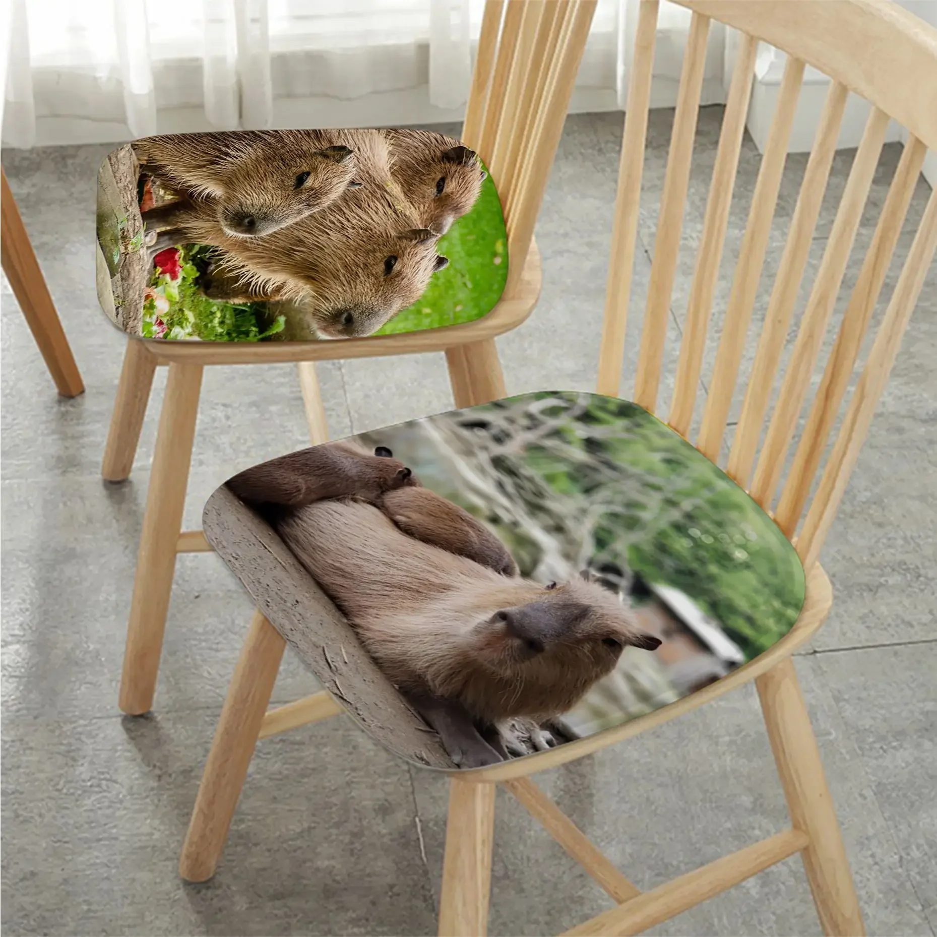 

Kawaii Capybara Tie Rope Sofa Mat Dining Room Table Chair Cushions Unisex Fashion Anti-slip Chair Mat Pad