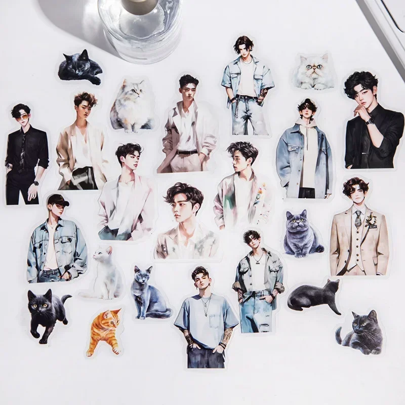 Cat Language Boy Series 6 Styles 20 Piece Optional PET Stickers Irregular Character Hand Account Decor